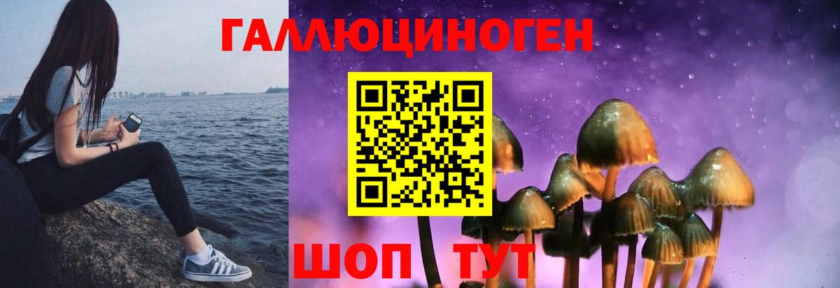 Псилоцибиновые грибы Psilocybine cubensis  Вход с VPN  Чернушка  Галлюциногенные грибы MAGIC MUSHROOMS 